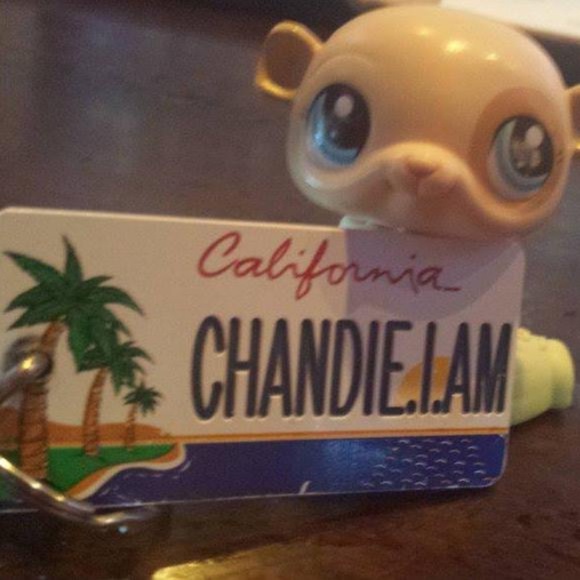 Meet your Posher, Chandie - Picture 3 of 6